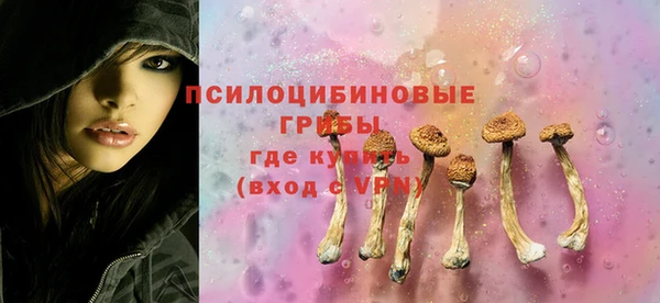 шишки Бронницы